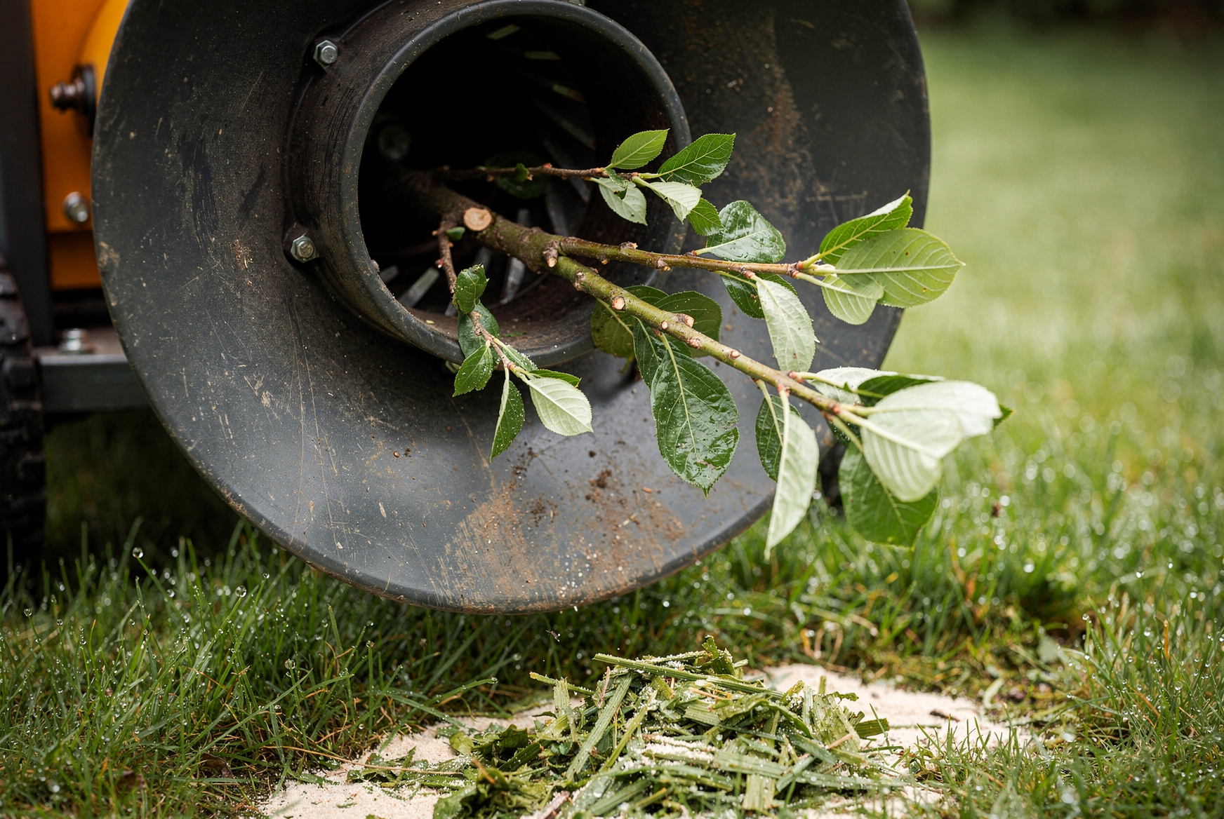 Gros plan sur la trémie d'un broyeur de végétaux avec des branches feuillues engagées à l'entrée